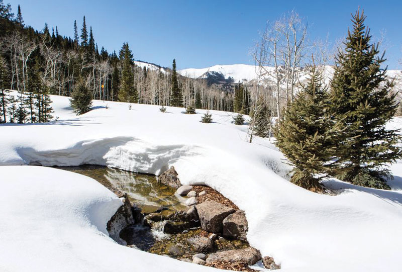 Glorious Nature at Your Doorstep | The Colony Love Affair | The Colony ...